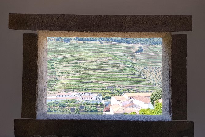 Douro Valley Wine Tour: 3 Vineyard Visits, Wine Tastings, Lunch - Price and What You’re Really Buying at $133.02