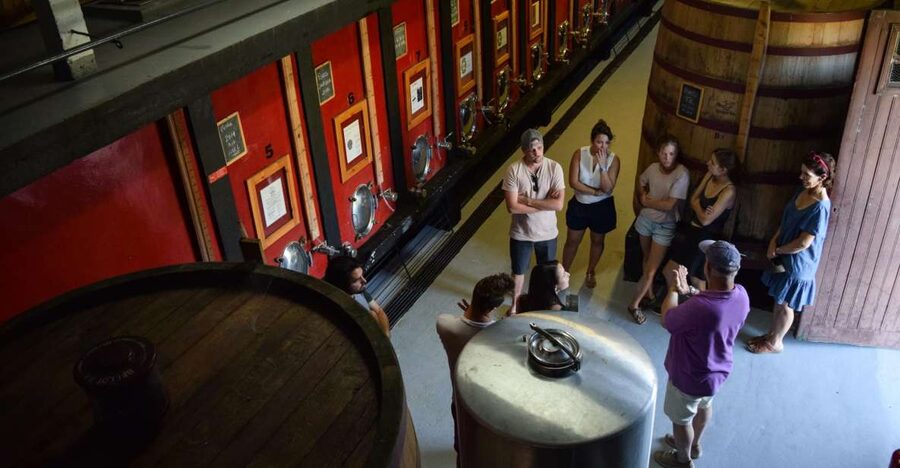 Douro Valley: Winery Tour at Quinta do Tedo and Tastings - Quinta do Tedo: views first, then the wine story