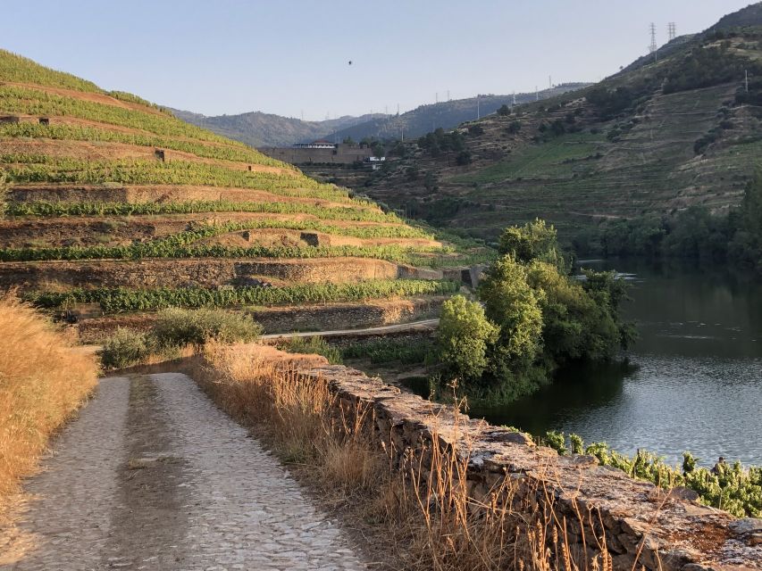Douro Valley: Winery Tour at Quinta do Tedo and Tastings - Inside the process: lagers, aging, bottling, and hand-labeling