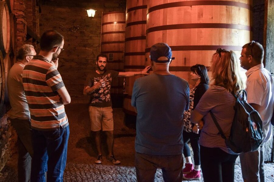 Douro Valley: Winery Tour at Quinta do Tedo and Tastings - Tastings with river views: Porto and red wines at the end