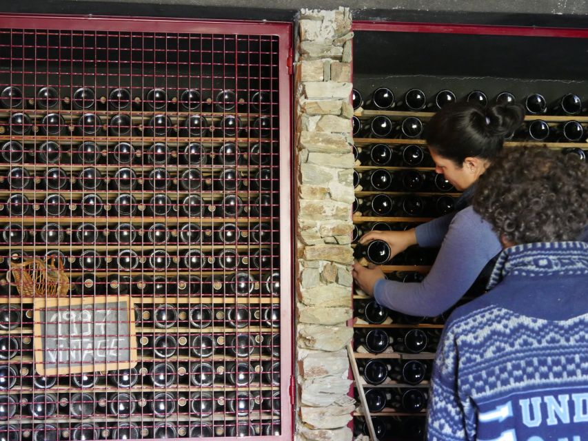 Douro Valley: Winery Tour at Quinta do Tedo and Tastings - Price and value: is $42 worth it?