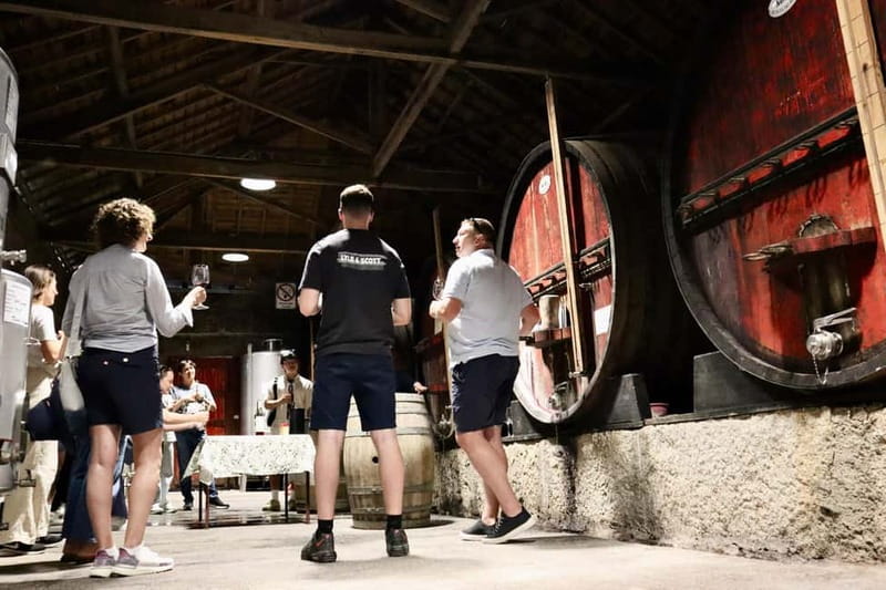 Douro Valley: Winery, Traditional Lunch & Private Boat Trip - Should you book this Douro Valley day trip from Porto?