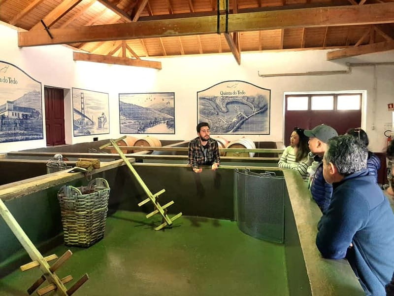 Douro Valley: Winery, Traditional Lunch & Private Boat Trip - Douro day trips from Porto, without the big-tour feel