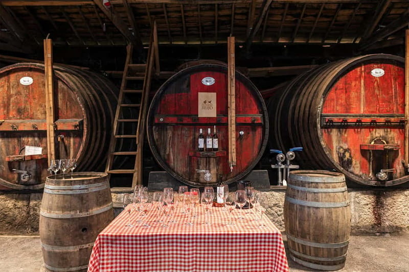 Douro Valley: Winery, Traditional Lunch & Private Boat Trip - Who this tour fits best (and who should consider other options)