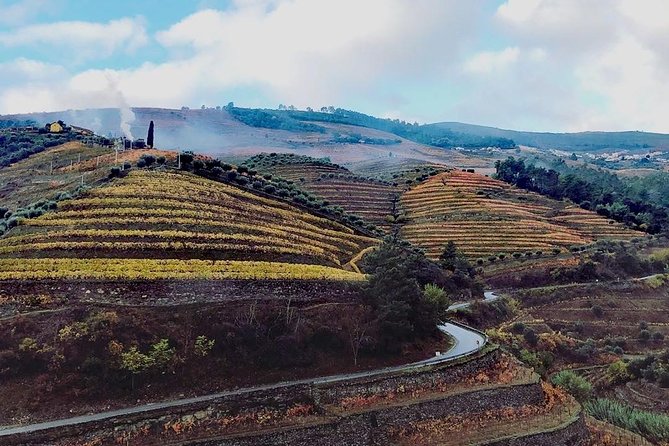 Douro Valley with Two Winery, Boat Trip and Lunch From Porto - Key Highlights You Should Care About