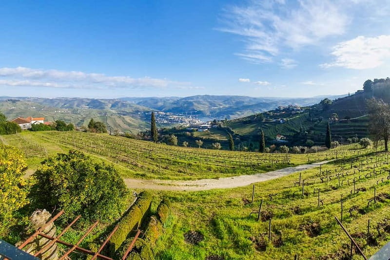 Douro Valley with Two Winery, Boat Trip and Lunch From Porto - Viewpoint Photo Stop Before You Return to Porto