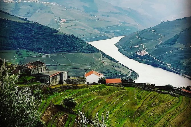 Douro Valley with Two Winery, Boat Trip and Lunch From Porto - Porto To Douro Valley: A Day Built Like a Story