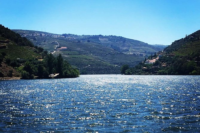 Douro Valley with Two Winery, Boat Trip and Lunch From Porto - Winery Visit #1: Port Wine Traditions and a Guided Tasting