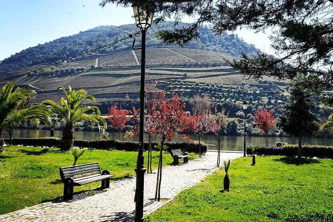Douro Valley with Two Winery, Boat Trip and Lunch From Porto - Douro River by Rabelo Boat: The View Comes From the Water