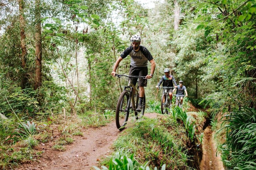 E-Bike Guided Tour - Mountain biking experience - A Levada View Ride With Real Trail Time, From 9:00 to 13:30