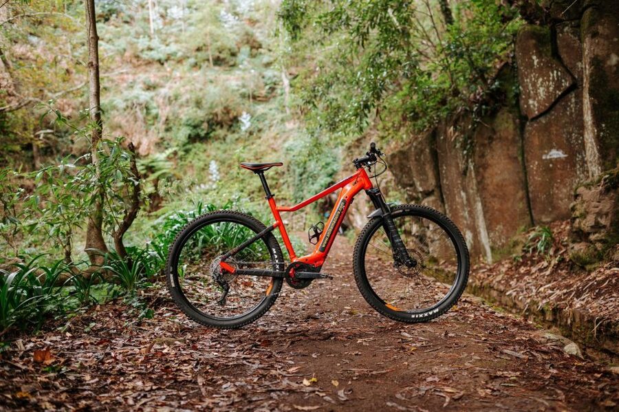 E-Bike Guided Tour - Mountain biking experience - Camacha and the Climb to the 1000 m Viewpoint Zone