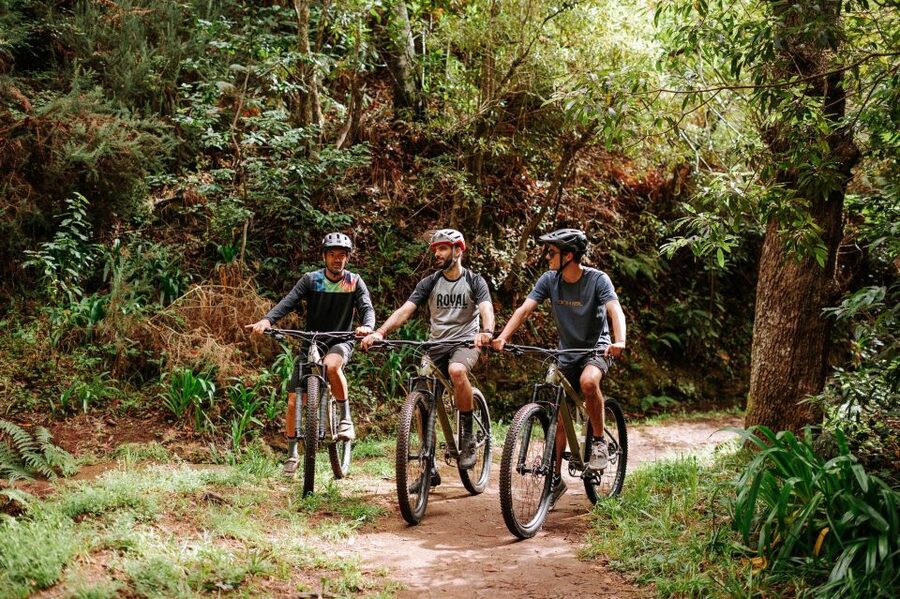 E-Bike Guided Tour - Mountain biking experience - Meet at Estrada Monumental and Then the Van Does the Heavy Lifting