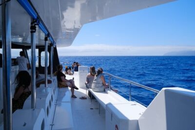 Eco-Friendly Catamaran Dolphin and Whale Watching