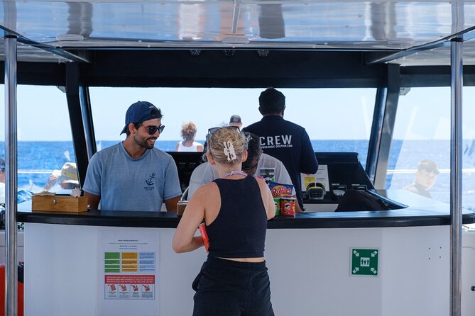 Eco-Friendly Catamaran Dolphin and Whale Watching - Price and value: does the $42.34 make sense for Madeira?