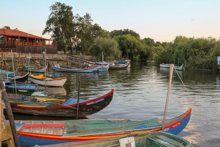 Escaroupim: 1 hour boat trip, guided tour - What makes this 1-hour Escaroupim boat trip special on the Tagus