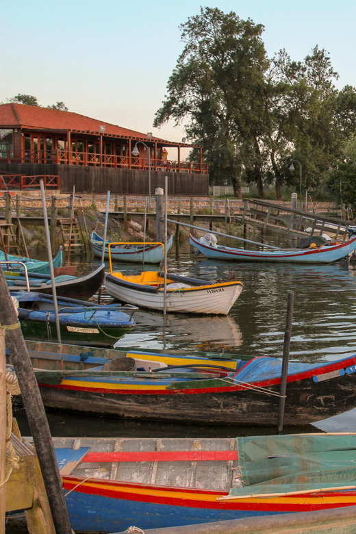 Escaroupim: 1 hour boat trip, guided tour - On the water: free horses and birdlife you can actually spot