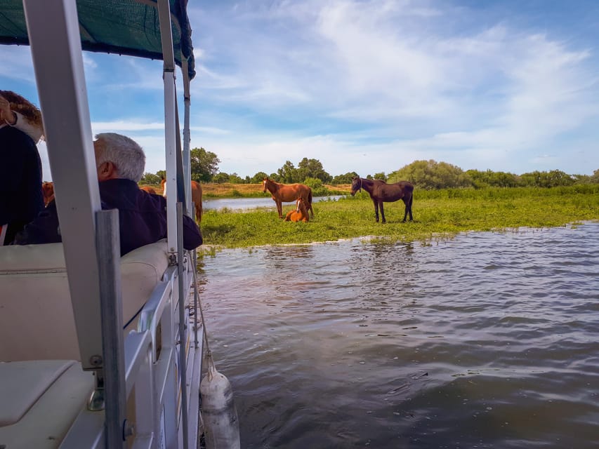 Escaroupim: 1 hour boat trip, guided tour - Islets and mouchões: where the scenery gets energy and fish jumping changes the mood