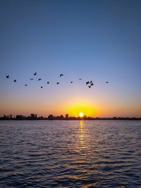 Escaroupim: 1 hour boat trip, guided tour - Extra cultural stops you can add: Rio Museum, Casa Típica Avieira, and Royal Falconry