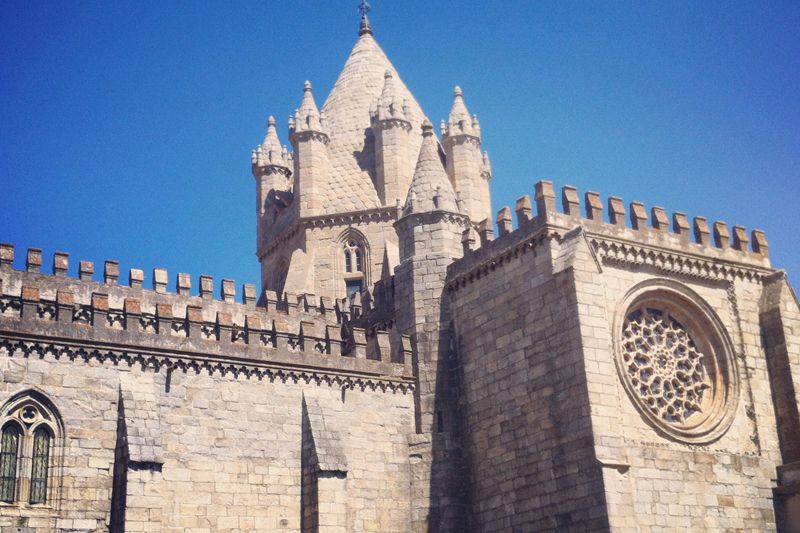 Évora and Megaliths Full-Day Tour from Lisbon - Cork Oak countryside and the cork extraction stop, why it matters