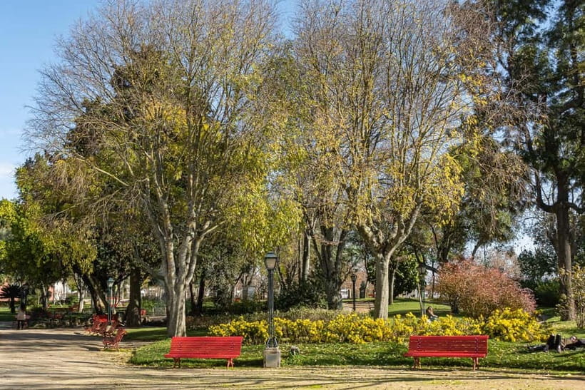 Évora: Private & Flexible Walking Tour in Historic Center - Colegiais Garden and the university areas