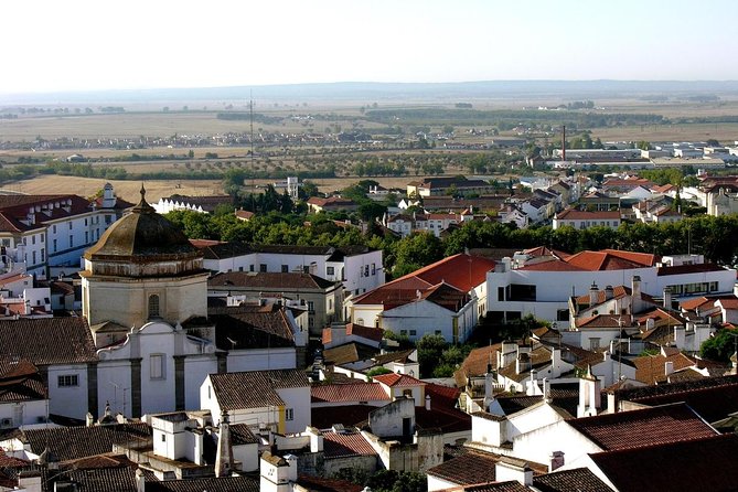 Évora: Private walking tour with tickets to main monuments - Key highlights at a glance
