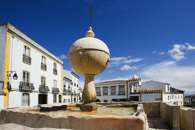 Évora: Private walking tour with tickets to main monuments - Why Évora’s old town works best with a private guide