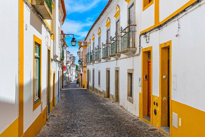 Évora: Private walking tour with tickets to main monuments - Chapel of Bones with entrance tickets, plus the stories that make it make sense