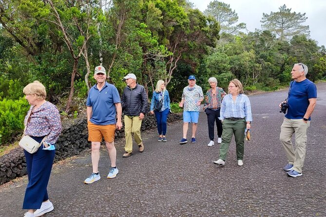Faial Island: Full Day Tour - Nature and Local Culture - Caldeira crater walk: the ex-libris moment