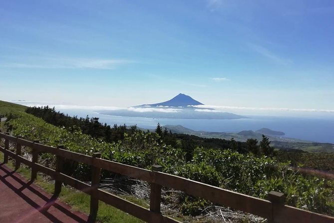 Faial Island: Half Day Tour - Pickup, van, and group size: where comfort helps and hurts