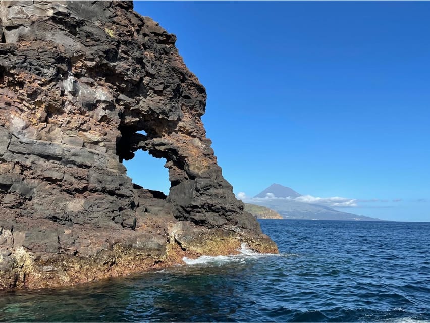 Faial Island: Unique boat tour to the Capelinhos volcano - The coast highlights you’ll see, and what to look for at each stop
