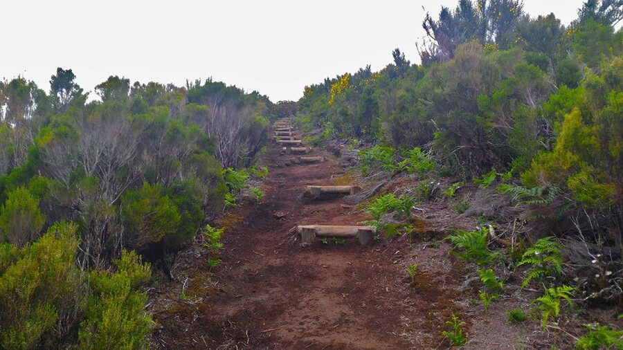 Fanal / Assobiadores - Levada Walk - Steep Stretches and Narrow Paths: Pace, Shoes, and Comfort