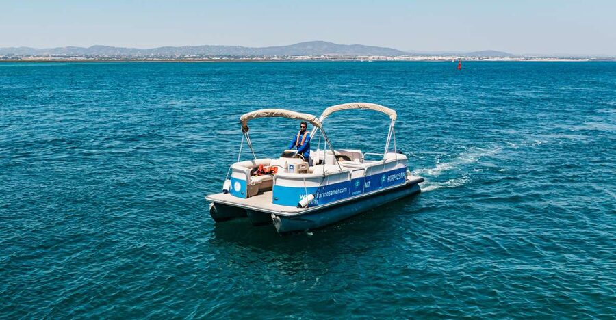Faro: Deserta Island and Farol Island Catamaran Boat Trip - Price and value, what you really get for $47