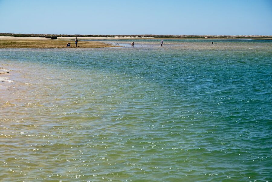 Faro: Deserta Island and Farol Island Catamaran Boat Trip - What to pack for Farol and Deserta, not just the boat