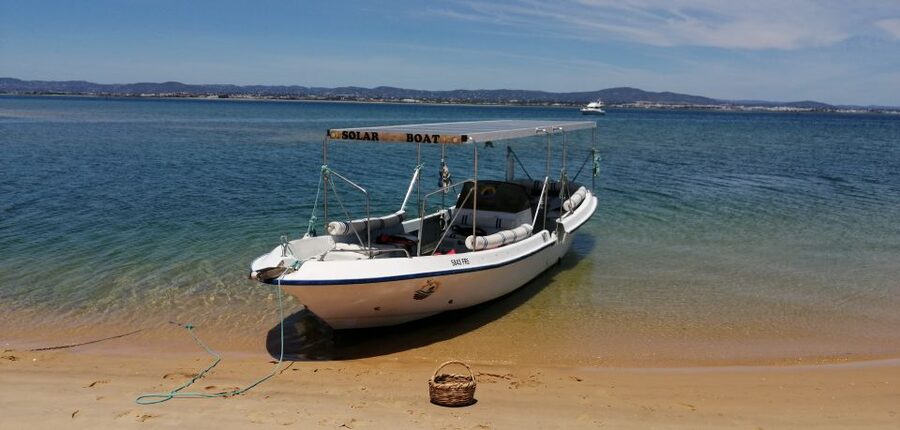 Faro: Eco-Friendly Ria Formosa Bird Watching in Solar Boat - What you can spot: nests, waders, and hunting raptors