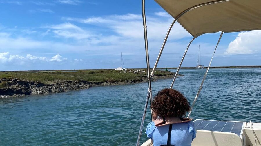 Faro: Ria Formosa Boat Tour by Eco-Friendly Solar Boat - Key highlights you’ll feel right away