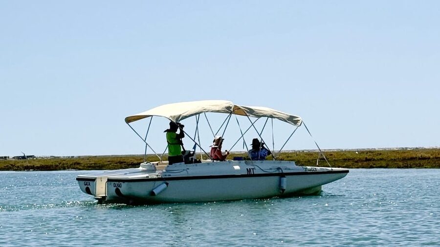 Faro: Ria Formosa Boat Tour by Eco-Friendly Solar Boat - Why a solar boat changes the way you see the Ria Formosa
