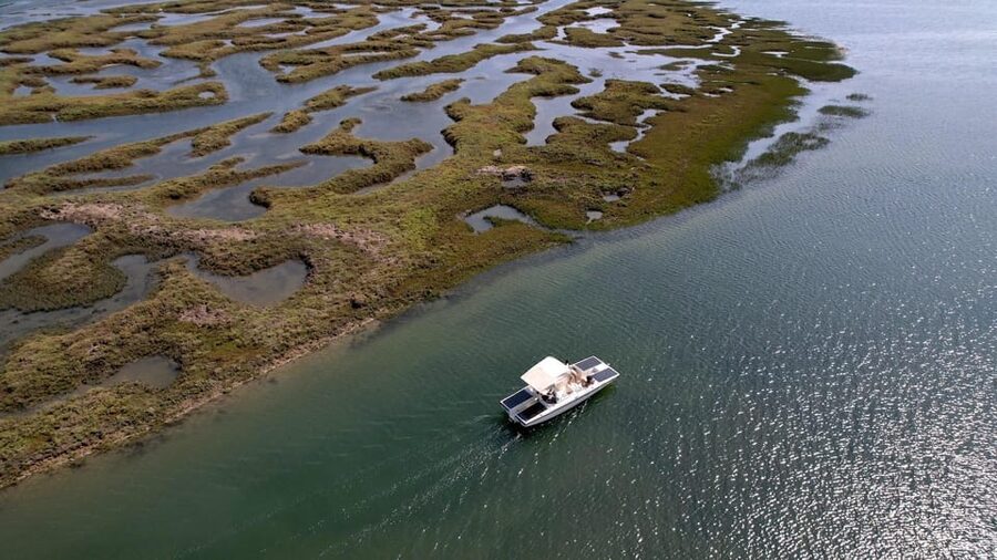 Faro: Ria Formosa Boat Tour by Eco-Friendly Solar Boat - Cruising through Parque Natural da Ria Formosa marshes: what you actually do in that 1 hour
