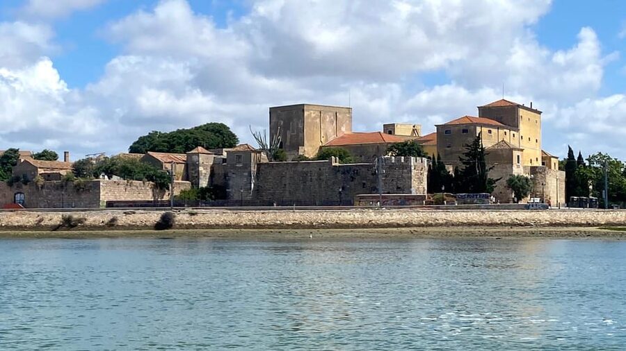 Faro: Ria Formosa Boat Tour by Eco-Friendly Solar Boat - Following guides like André, Luis, and Manuel for real bird-spotting