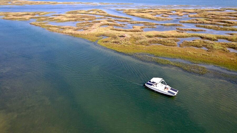 Faro: Ria Formosa Boat Tour by Eco-Friendly Solar Boat - Wildlife spotting tips that work from a quiet boat