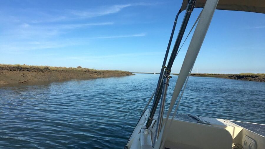 Faro: Ria Formosa Boat Tour by Eco-Friendly Solar Boat - Price and value for a 1-hour eco adventure in Faro
