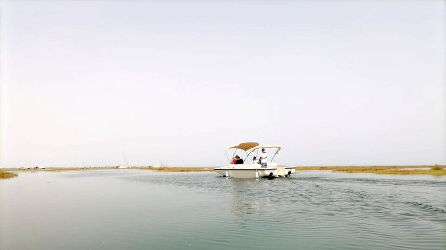 Faro: Ria Formosa Boat Tour by Eco-Friendly Solar Boat - Should you book? My quick decision guide