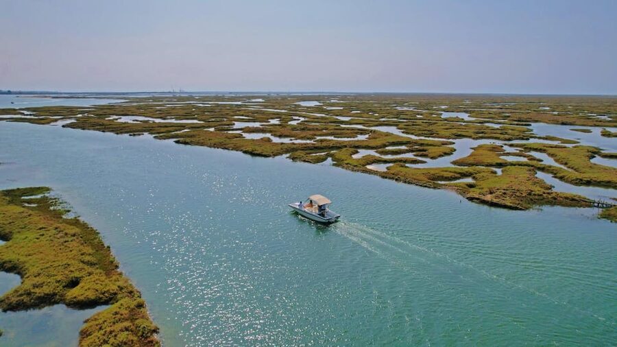 Faro: Ria Formosa Boat Tour by Eco-Friendly Solar Boat - Getting to Cais das Portas do Mar, and what to plan for