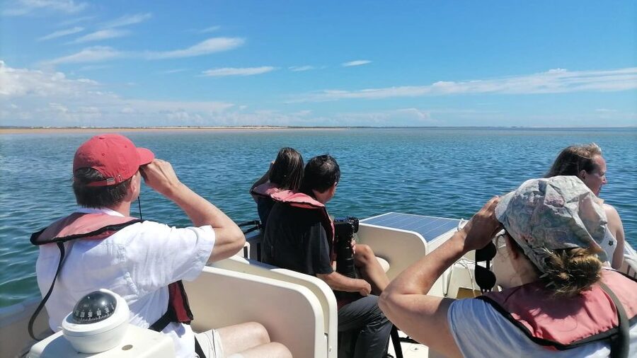 Faro: Ria Formosa Eco Birdwatching Boat Tour - Why Ria Formosa birdwatching feels different from “just a boat ride”