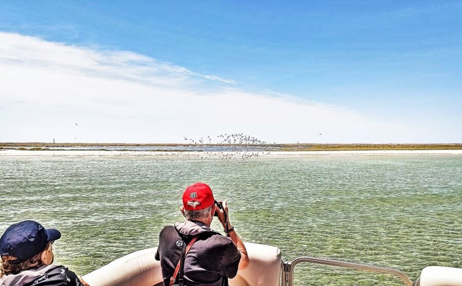 Faro: Ria Formosa Faro Islands Boat Tour - Ilha do Farol and the Santa Maria Lighthouse Views