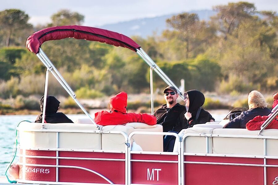Faro: Ria Formosa Faro Islands Boat Tour - Tides, Seasons, and When You Get the Best Bird Show
