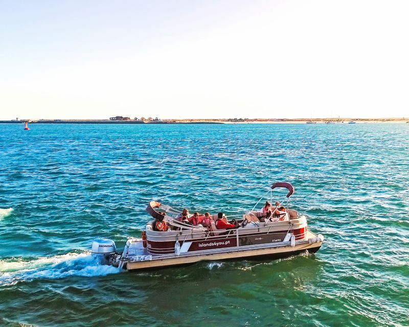 Faro: Ria Formosa Faro Islands Boat Tour - Boat Type, Wind, and That Roof-Access Reality