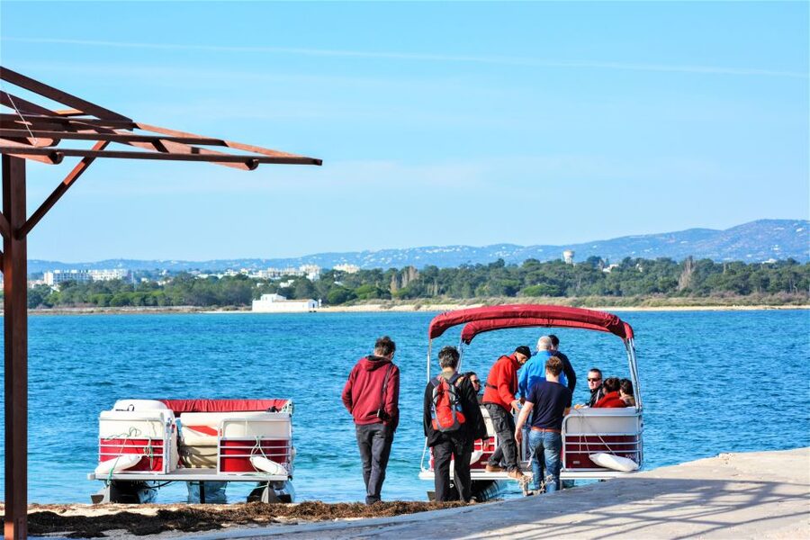 Faro: Ria Formosa Faro Islands Boat Tour - Small-Group Comfort and the Guide Rhythm You Will Appreciate