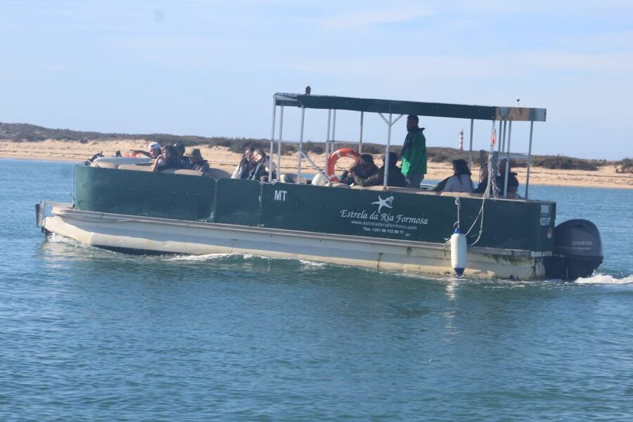 Faro: Ria Formosa Guided Sunset Tour by Catamaran - The guide experience: humor, competence, and a real sense of flow