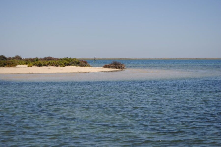 Faro: Ria Formosa Lagoon Small Boat Tour with Local Guide - What to Bring and When Weather May Change the Ride