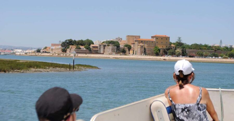 Faro: Ria Formosa Lagoon Small Boat Tour with Local Guide - The Pontoon Boat Experience: Comfort, Safety, and a Realistic Time Plan